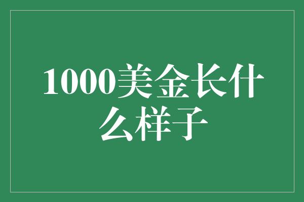 1000美金长什么样子