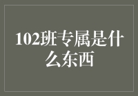 102班专属的记忆结晶：构建班级文化的纽带