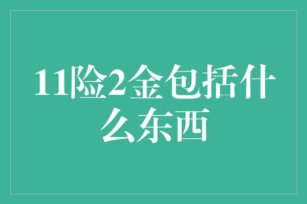 11险2金包括什么东西