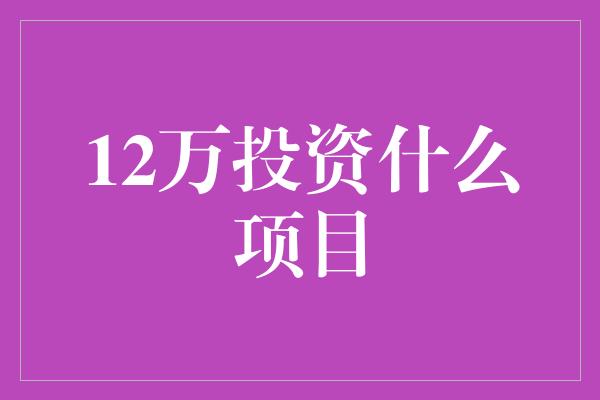 12万投资什么项目