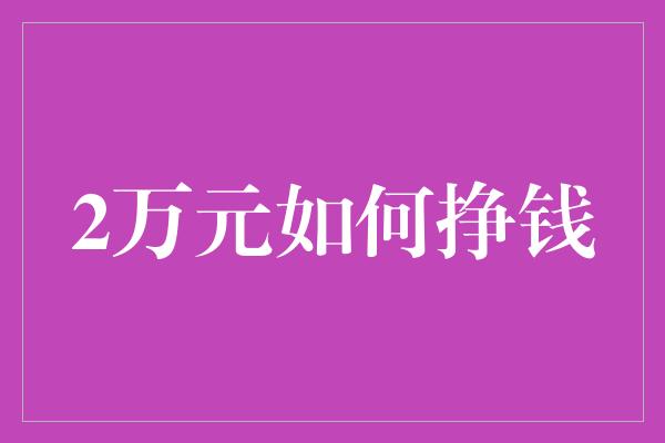 2万元如何挣钱