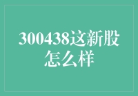 300438新股分析：一份对于未来科技行业的深度探索