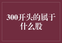 300开头的股票是什么玩意儿？ 你问我，我问谁呢？