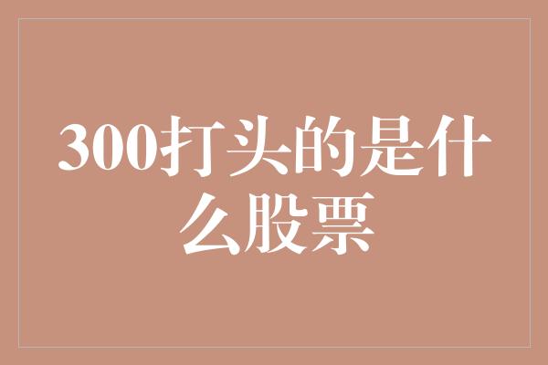 300打头的是什么股票