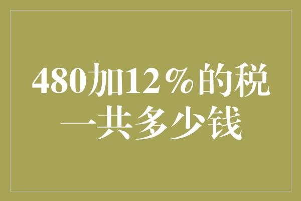 480加12%的税一共多少钱