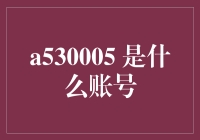 深度解析：互联网账号命名规则及其背后逻辑——以a530005账号为例