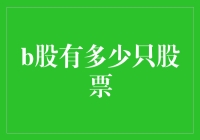 B股市场：深度剖析与投资前景分析