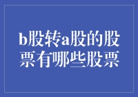 从B股难民到A股贵族：一场股票界的变形记