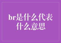 BR到底是什么意思？揭秘金融术语背后的玄机！