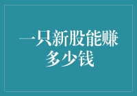 一只新股能赚多少钱：从理性视角看价值投资与市场波动