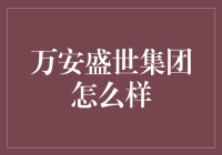 万安盛世集团：中国房地产行业的未来之光