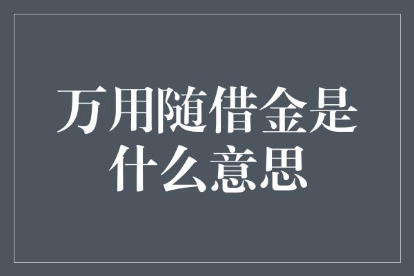 万用随借金是什么意思