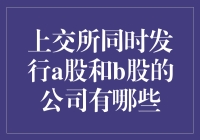 A股与B股共舞：上交所同时发行A股和B股的公司概览