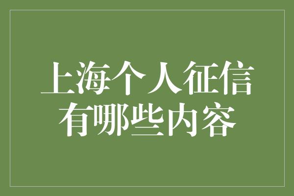 上海个人征信有哪些内容