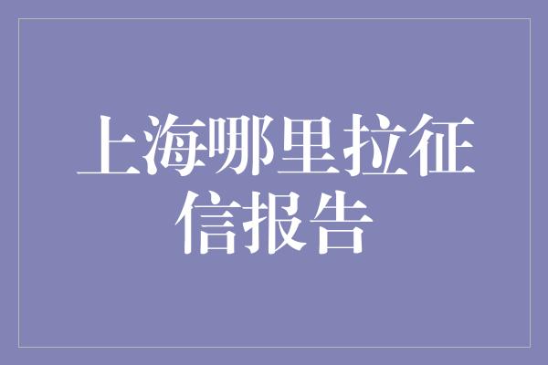 上海哪里拉征信报告