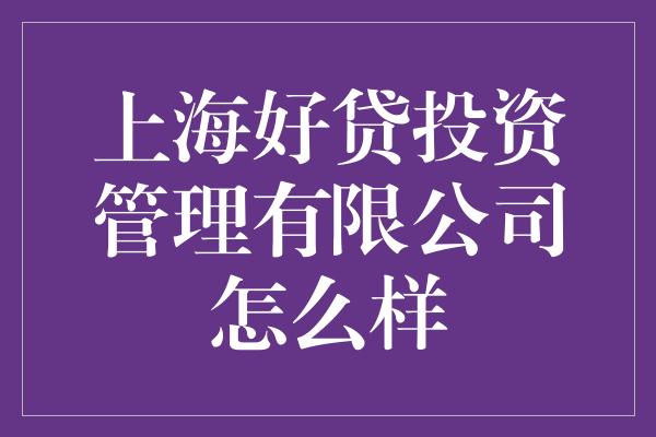 上海好贷投资管理有限公司怎么样