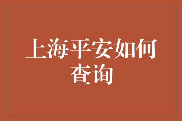 上海平安如何查询