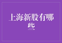 2023年上海新股市场概览：把握机遇，迎接挑战