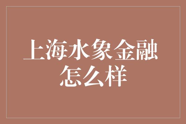 上海水象金融 怎么样