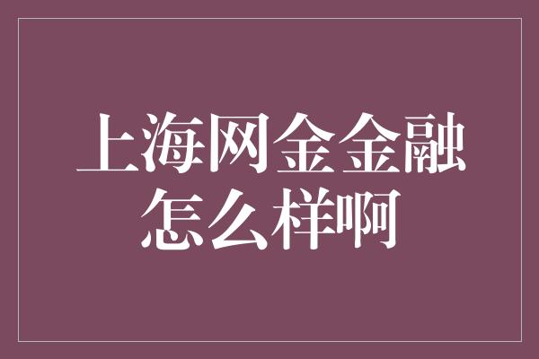 上海网金金融怎么样啊