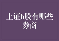 揭秘！上证B股的秘密武器——那些不可不知的券商