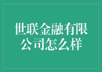 世联金融有限公司：探索金融行业创新与机遇