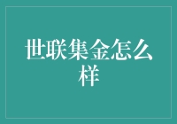 世联集金：真的适合你吗？