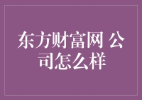 东方财富网：一家引领中国财经信息服务的创新企业