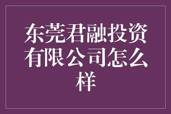 东莞君融投资有限公司怎么样