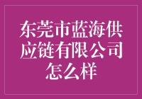 东莞市蓝海供应链有限公司，带你领略供应链的蓝魅力！