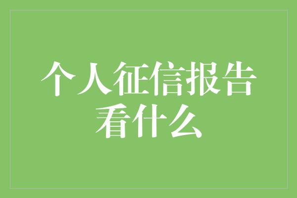 个人征信报告看什么