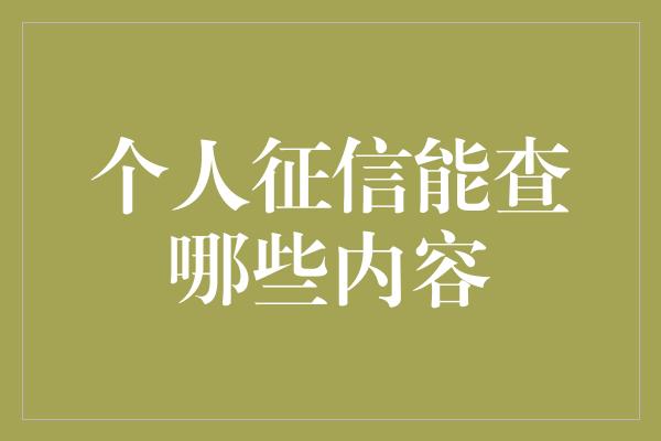 个人征信能查哪些内容