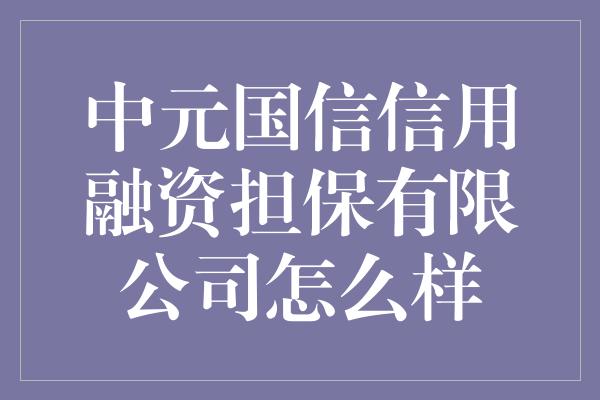 中元国信信用融资担保有限公司怎么样