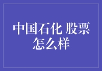 中国石化股票投资价值分析与前景展望