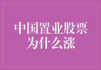 中国置业股票为什么涨？原来是因为涨成了王道