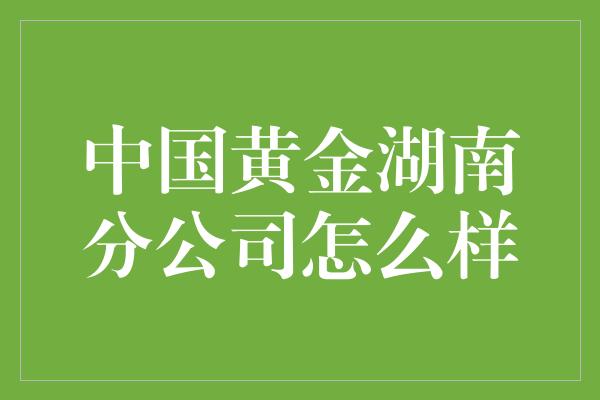 中国黄金湖南分公司怎么样