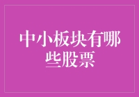 从股票市场中的小不点到巨无霸：那些藏在中小板块里的宝藏股票