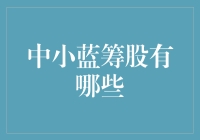 中小蓝筹股的多元化投资策略与价值分析