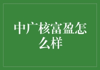 中广核富盈：绿色能源引领者，稳健收益的优选