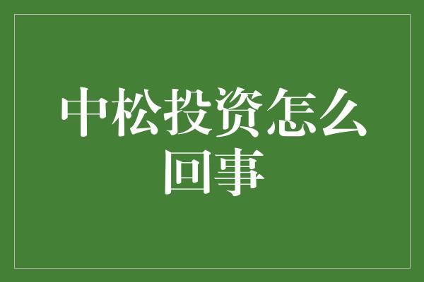 中松投资怎么回事