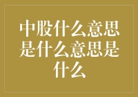 中股：从历史到未来的投资视角