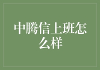 中腾信公司文化：职场新人的蜕变与成长