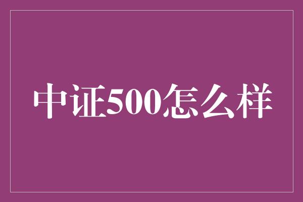 中证500怎么样