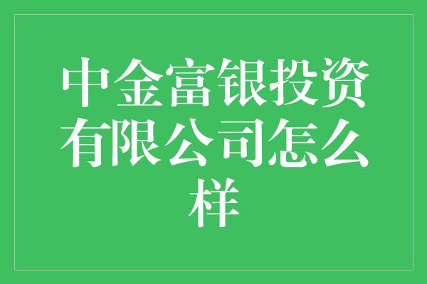 中金富银投资有限公司怎么样