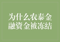 为何农泰金融资金被冻结？真相揭秘！