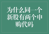 投资人的新烦恼：为什么同一个新股有两个申购代码