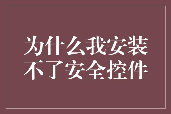 为什么我安装不了安全控件