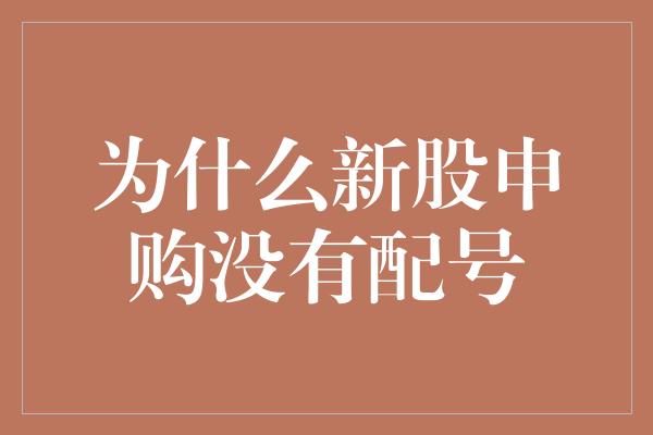 为什么新股申购没有配号