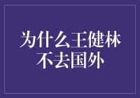 为什么王健林不去国外：因为他有好几套房，想走都走不了