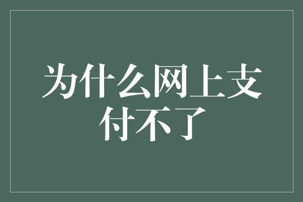 为什么网上支付不了